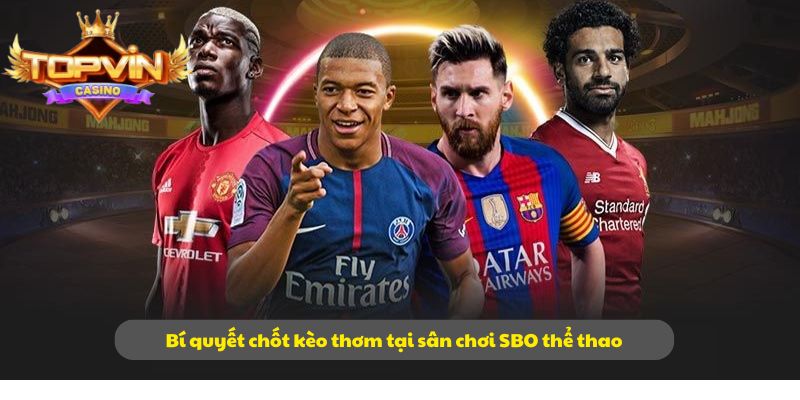 Bí quyết chốt kèo thơm tại sân chơi SBO thể thao