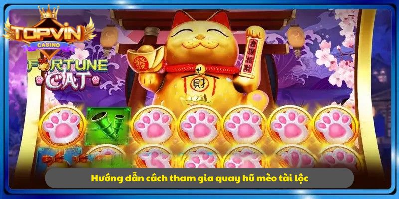 Tính năng hữu ích khi chơi mèo tài lộc